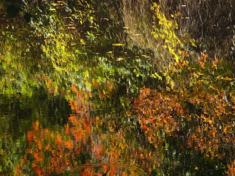 Autumn-039A.jpg - OLYMPUS DIGITAL CAMERA