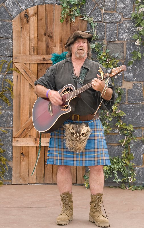 Faire-101A.jpg - Traditional Music, modern instrument.