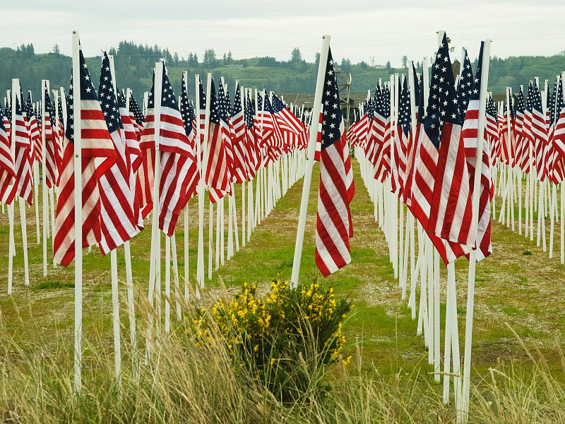 Aqu-112A.jpg - Field of Honor - 1,000 flags program of the Oregon Veterans