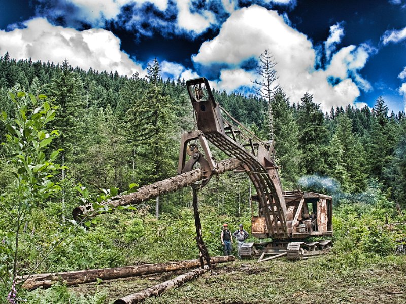 Logging-100L.jpg - Log loader