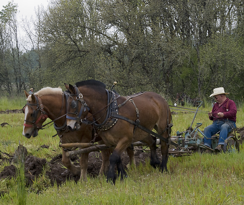 Plow-008A.jpg - Plowing