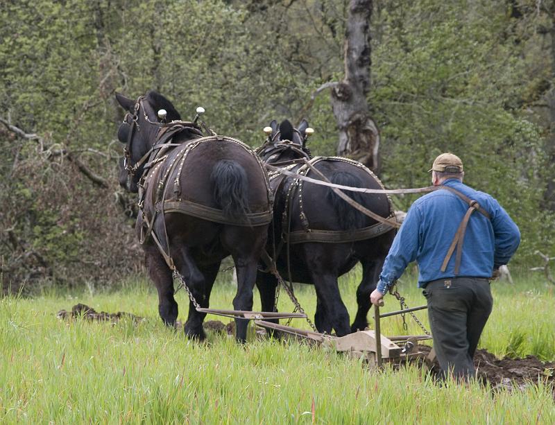 Plow-023A.jpg - Plowing - 3