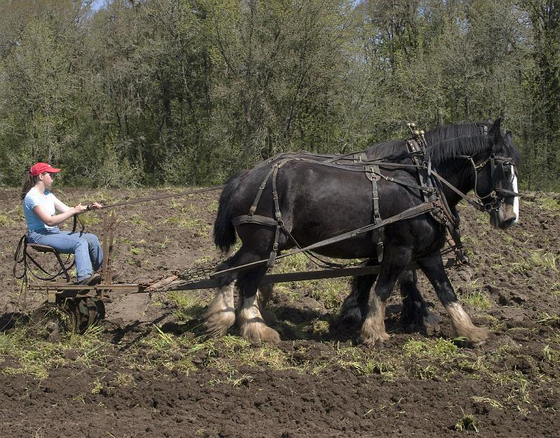 Plow-157.jpg - Another Farm Girl