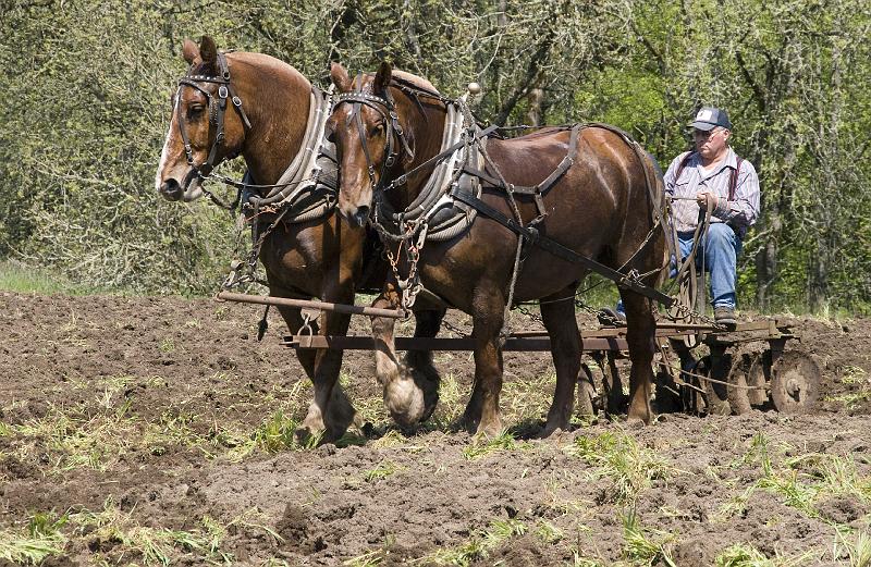 Plow-169A.jpg - Working the land - 2