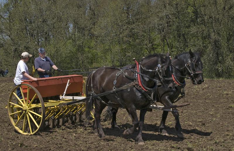 Plow-208A.jpg - Drilling - 1