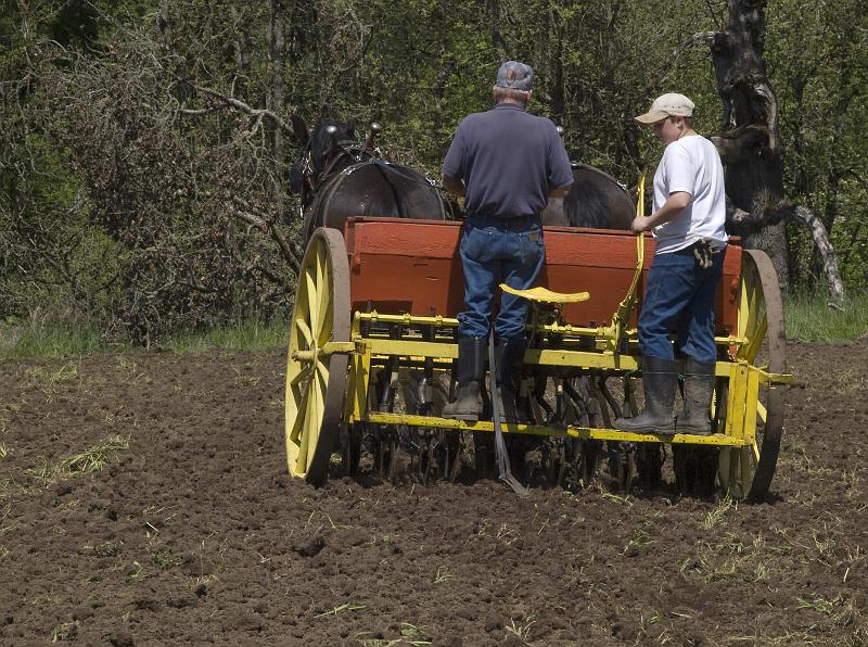 Plow-210A.jpg - Drilling - 2