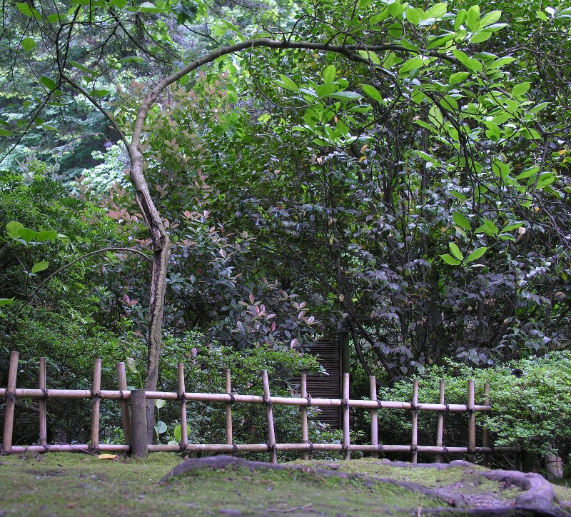 ../Images/Garden-051A.jpg
