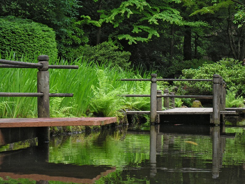 ../Images/Garden-059A.jpg