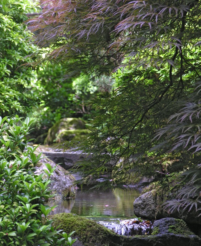 ../Images/Garden-062A.jpg