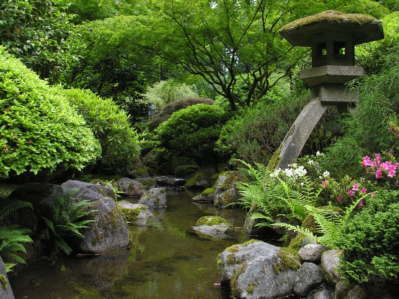 ../Images/Garden-069.jpg