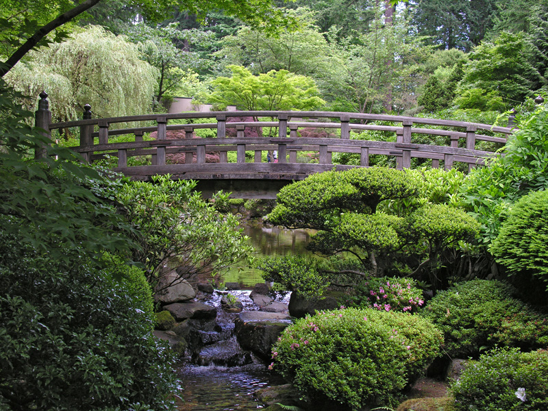 ../Images/Garden-075.jpg