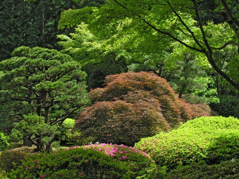 ../Images/Garden-096A.jpg