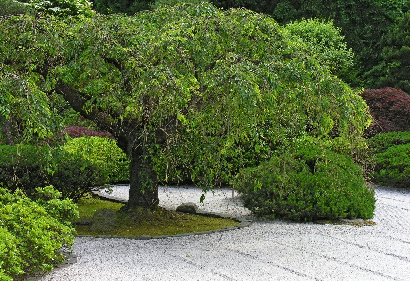 ../Images/Garden-106A.jpg