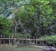 Thumbs/tn_Garden-051A.jpg
