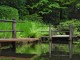 Thumbs/tn_Garden-059A.jpg