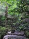 Thumbs/tn_Garden-073A.jpg