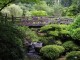 Thumbs/tn_Garden-075.jpg