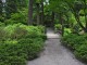 Thumbs/tn_Garden-078A.jpg