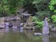 Thumbs/tn_Garden-080A.jpg
