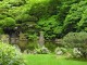 Thumbs/tn_Garden-082A.jpg