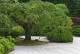 Thumbs/tn_Garden-106A.jpg