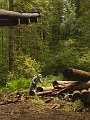 Logging-017A