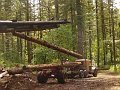 Logging-020A
