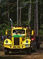 Logging-039A