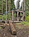 Logging-065AL