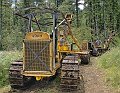 Logging-084L