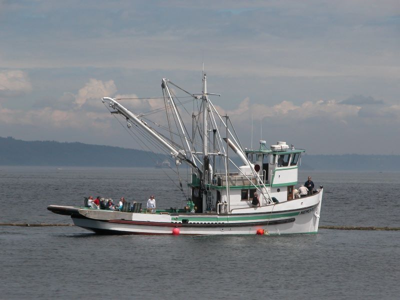 ../Images/Ship-169.jpg