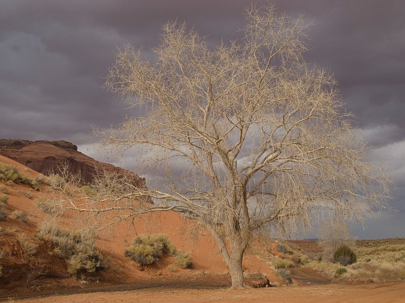 Tour-294A.jpg - Lone Tree