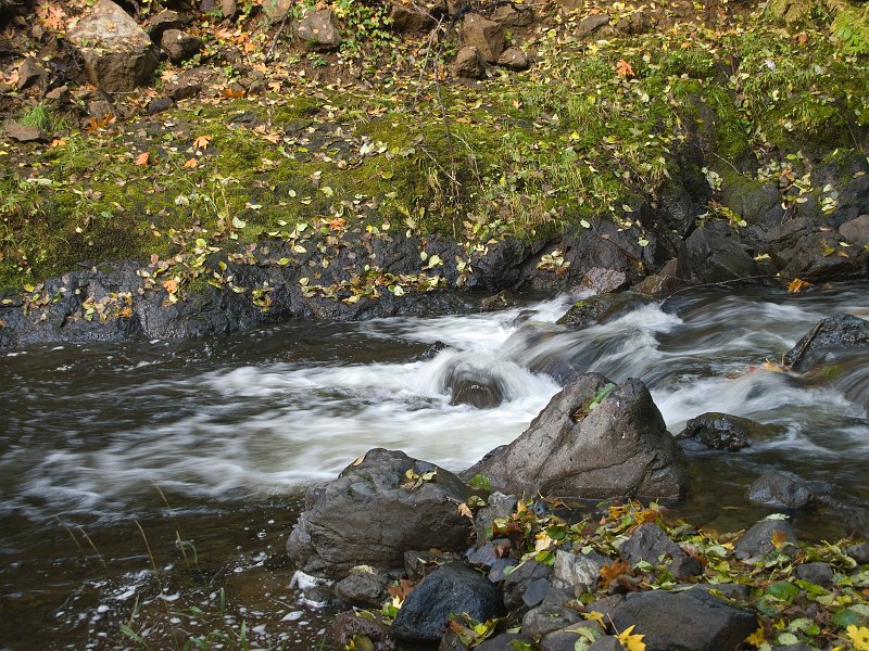 River-004A.jpg - Woodland stream
