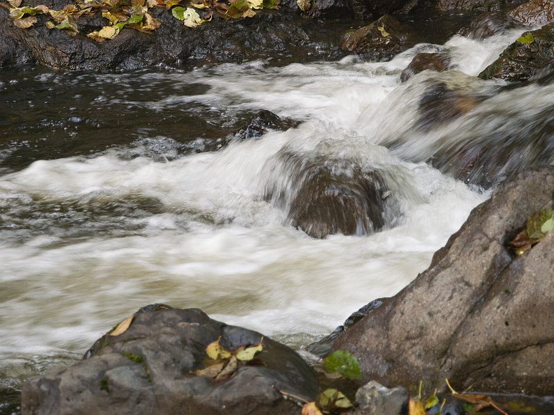 River-008A.jpg - A rock in the stream