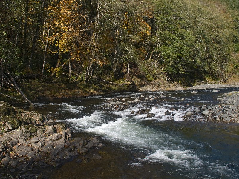 River-125A.jpg - Autumn Splendor