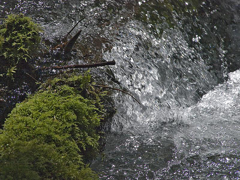 Falls-004A.jpg - OLYMPUS DIGITAL CAMERA